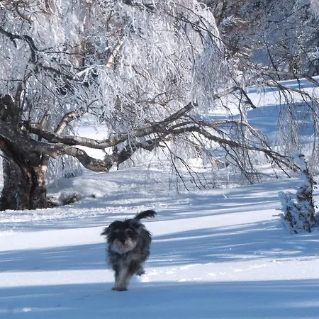 La Casona De Con Venkovský dům